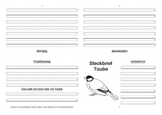 Taube-Faltbuch-vierseitig.pdf